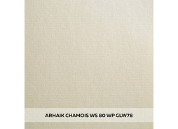 arhaik chamois ws 80 wp glw78_1800x1800-min.jpg