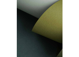 sharon_paper03_01.jpg