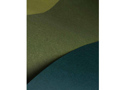 sharon_paper03_03.jpg