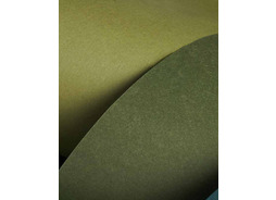 sharon_paper03_02.jpg