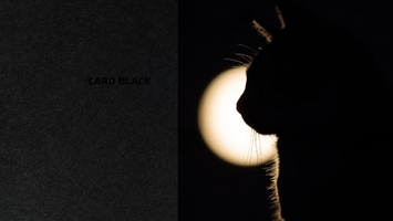 Card Black — чёрная дизайнерская бумага