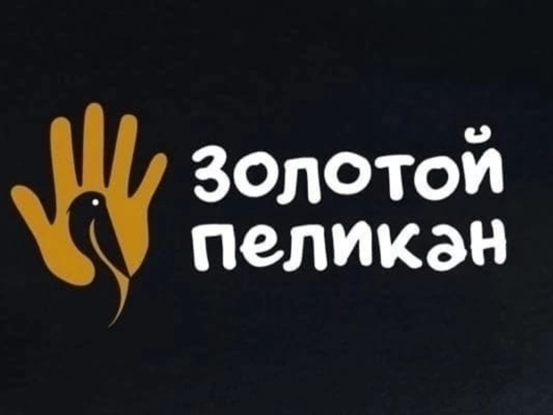 Благодарность Европапир от фонда «Золотой Пеликан - Северо-Запад»